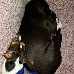 Meet your Posher, Jason